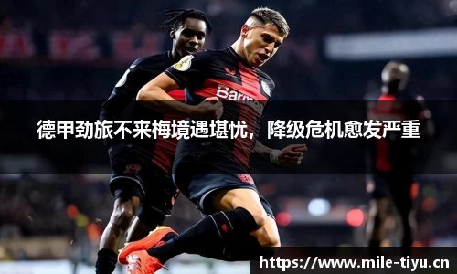 米乐m6体育官方网站