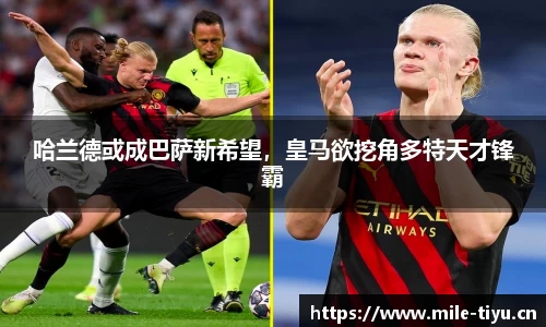 米乐m6体育