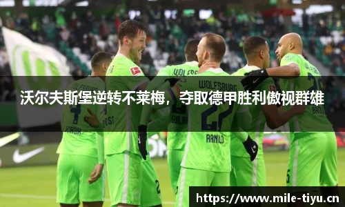 米乐m6体育平台