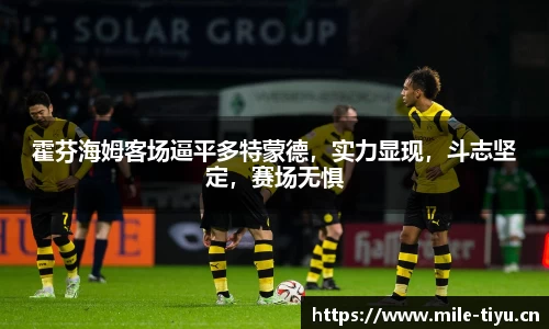 霍芬海姆客场逼平多特蒙德，实力显现，斗志坚定，赛场无惧