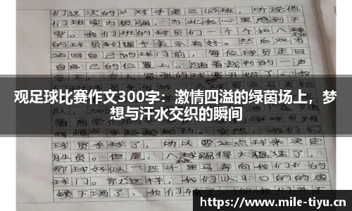 米乐m6体育官方网站