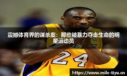 米乐m6体育平台